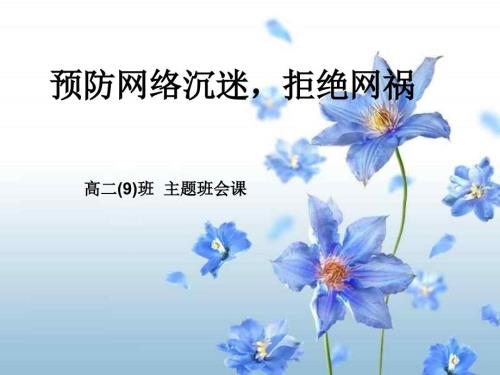 预防网络危害主题班会.ppt