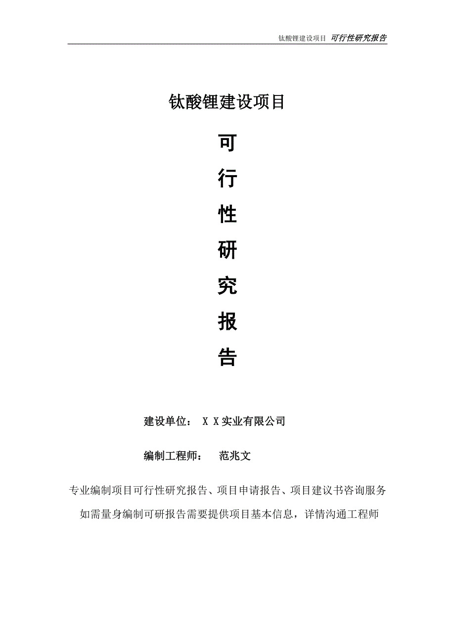 钛酸锂项目可行性研究报告完整可修改版.doc_第1页