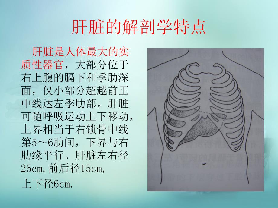 肝脾破裂的护理.ppt_第3页