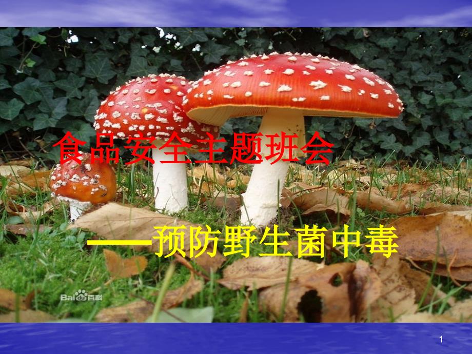 预防野生菌中毒ppt课件.ppt_第1页