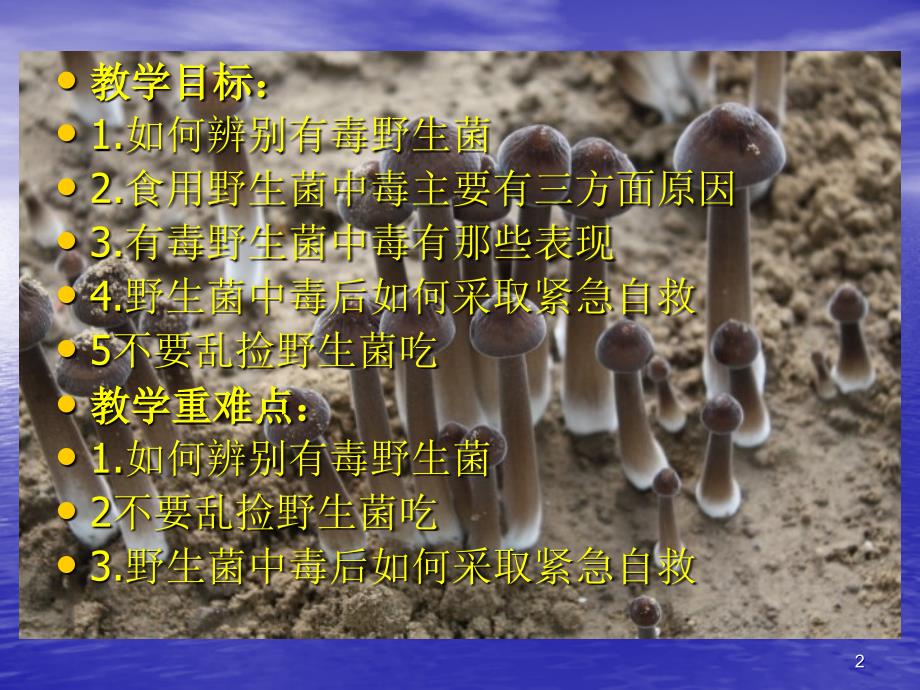 预防野生菌中毒ppt课件.ppt_第2页