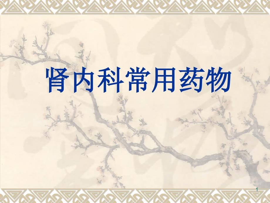 肾内科常用药物PPT演示课件.ppt_第1页