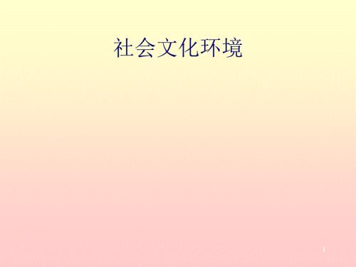 社会文化环境分析.ppt
