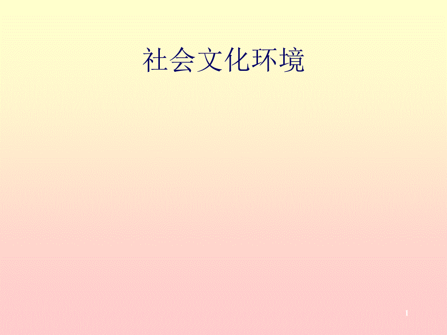 社会文化环境分析.ppt_第1页