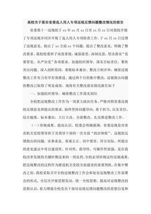 高校关于落实省委选人用人专项巡视反馈问题整改情况的报告.doc