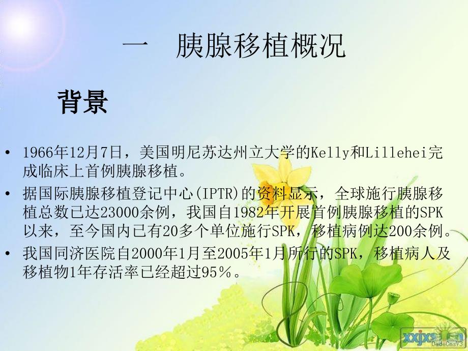 胰腺移植讲稿.ppt_第3页