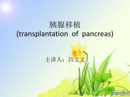 胰腺移植讲稿.ppt