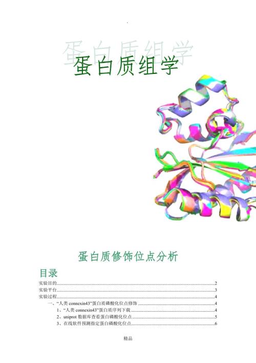 蛋白质修饰位点预测详解.doc