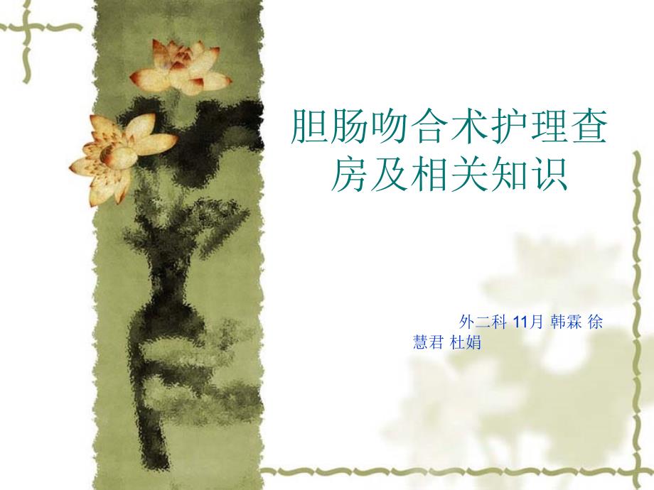 胆肠吻合术的围手术期护理PPT课件02.ppt_第1页