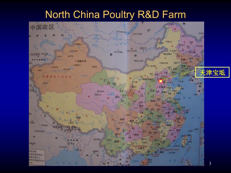 蛋鸡营养与饲养技术.ppt_第3页