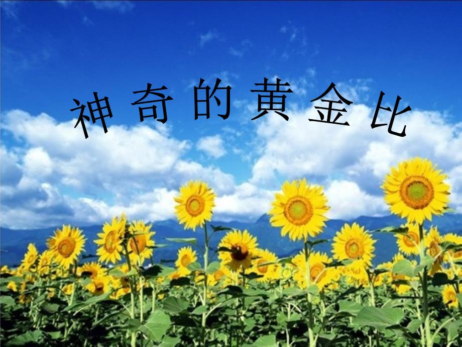 神奇的黄金比最终稿解析.ppt_第3页