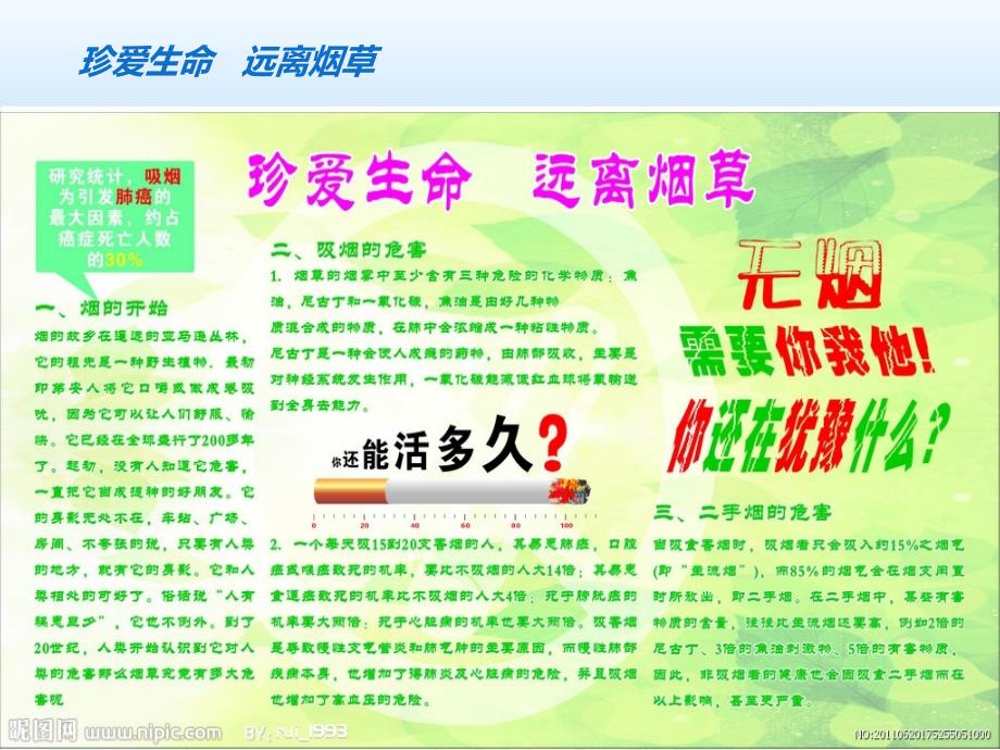 禁烟宣传活动PPT课件.ppt_第2页