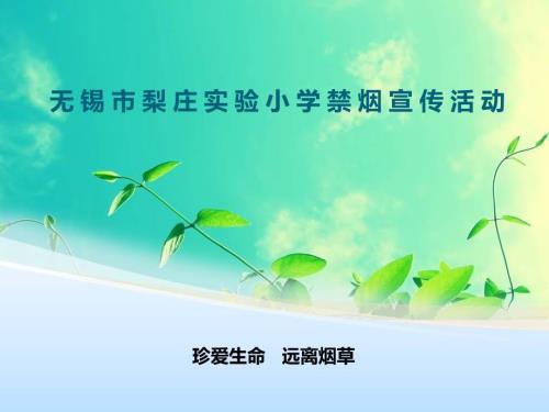 禁烟宣传活动PPT课件.ppt