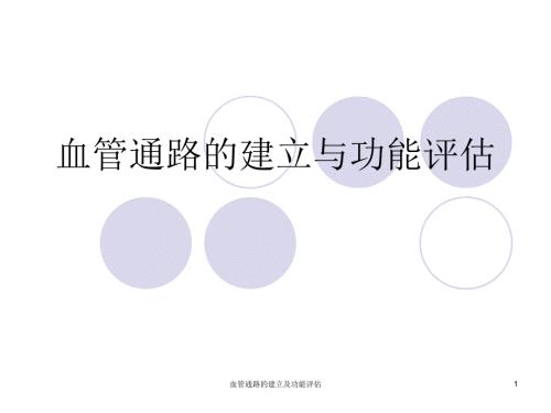 血管通路的建立及功能评估ppt课件.ppt