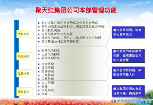 集团组织架构方案.ppt