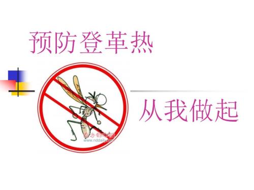 预防登革热PPT课件.ppt