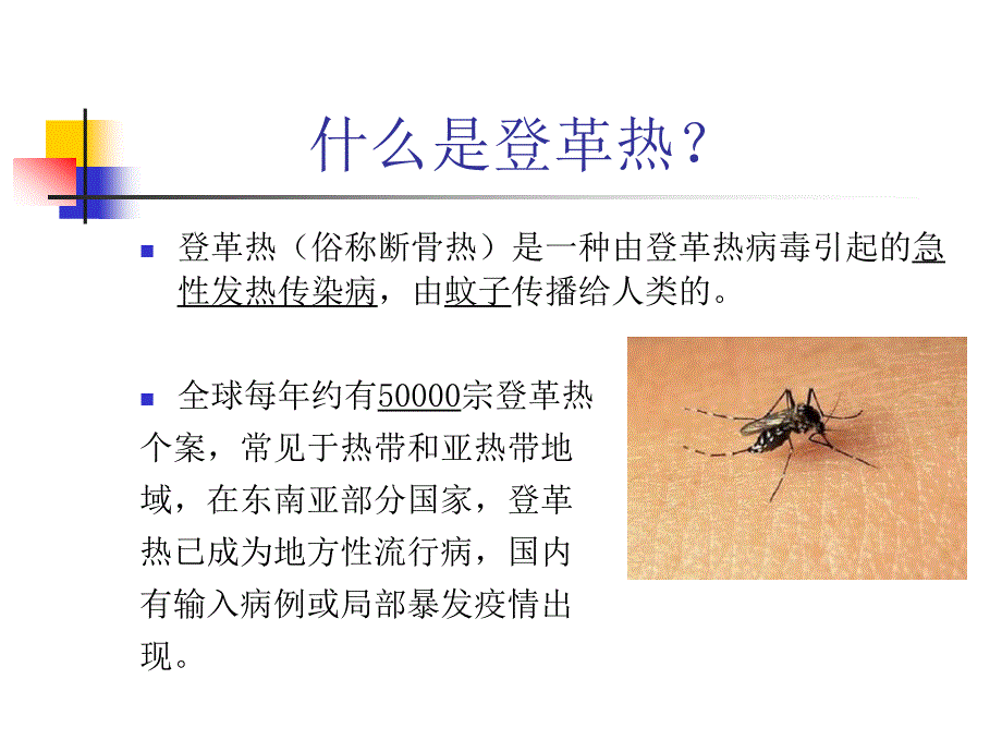 预防登革热PPT课件.ppt_第2页