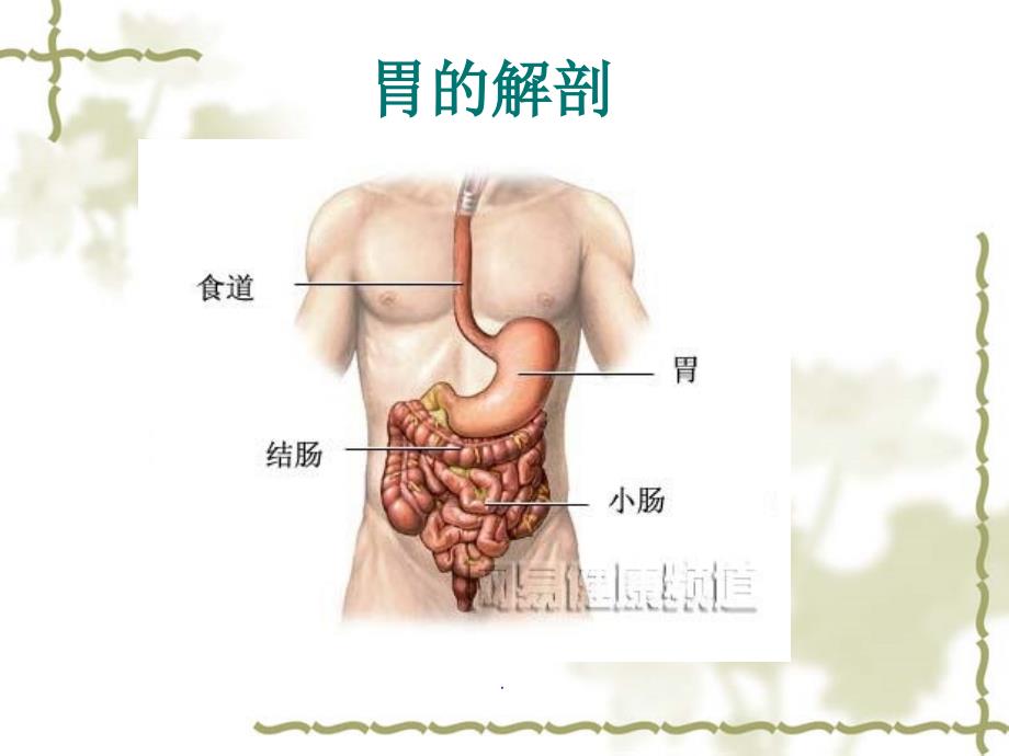 腹腔镜胃癌根治术PPT演示课件.ppt_第3页