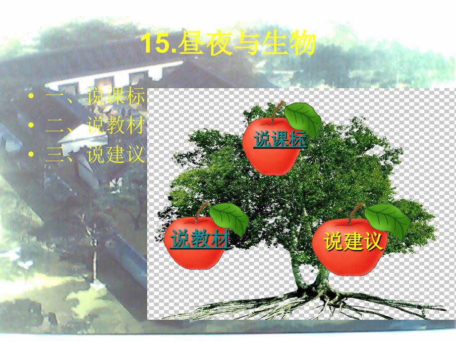 青岛版科学六上昼夜与生物说课课件.ppt_第2页
