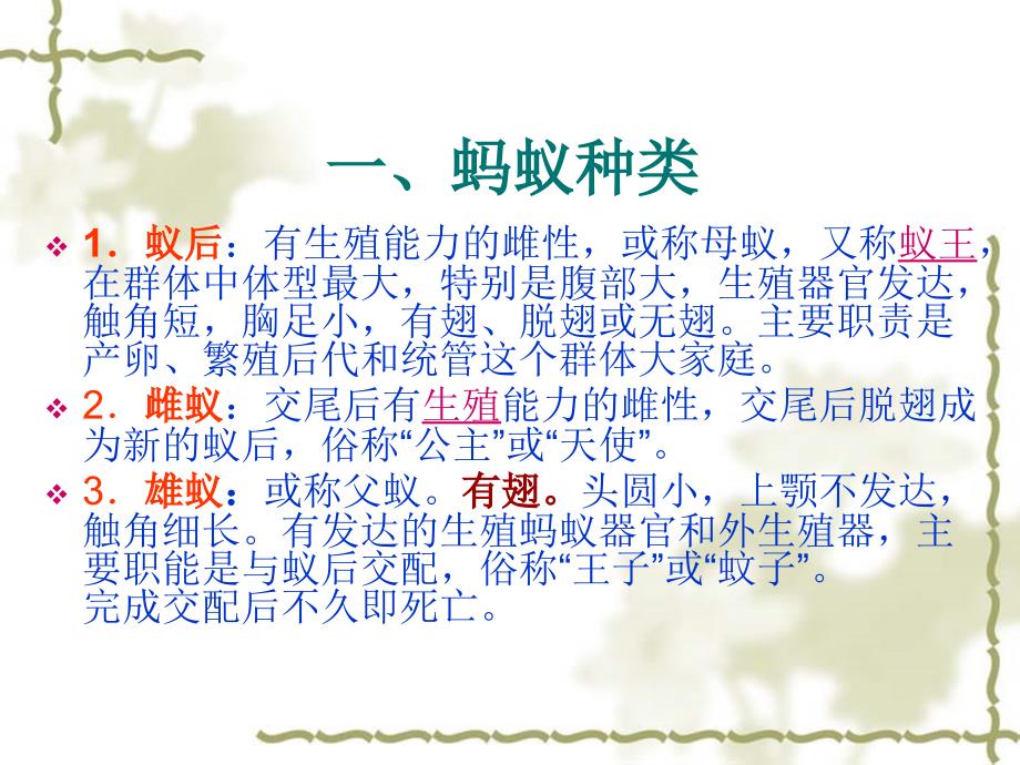 蚂蚁搬家.ppt_第2页