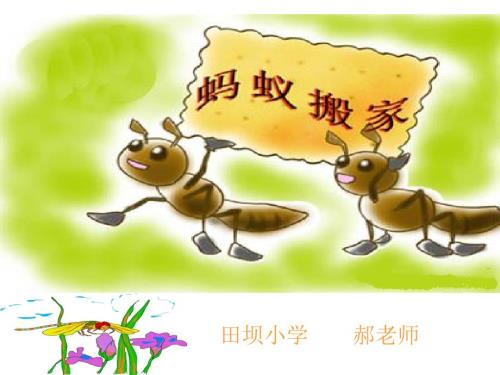 蚂蚁搬家.ppt