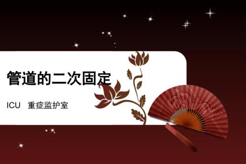 管道的二次固定.ppt