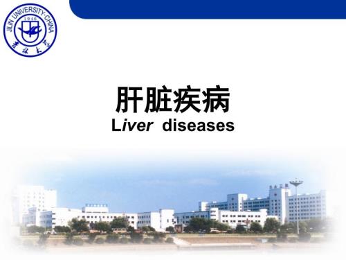 肝脏疾病课件.ppt
