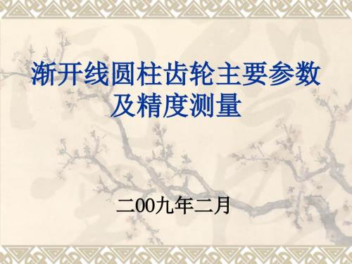 齿轮主要参数及测量.ppt