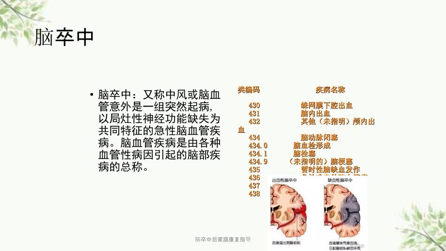脑卒中后家庭康复指导课件.ppt_第2页