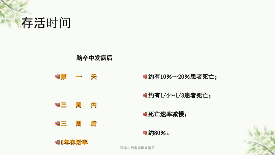 脑卒中后家庭康复指导课件.ppt_第3页