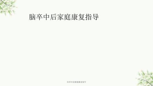 脑卒中后家庭康复指导课件.ppt