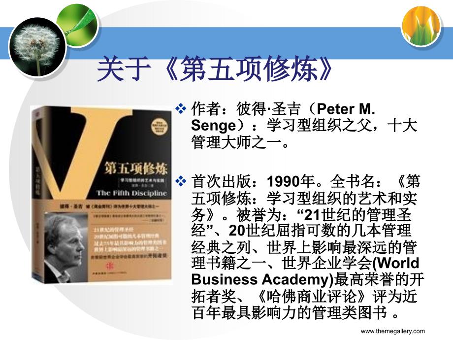 第五项修炼精美PPT.ppt_第2页