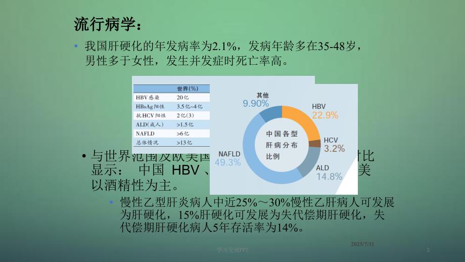 肝硬化课件ppt课件.ppt_第3页