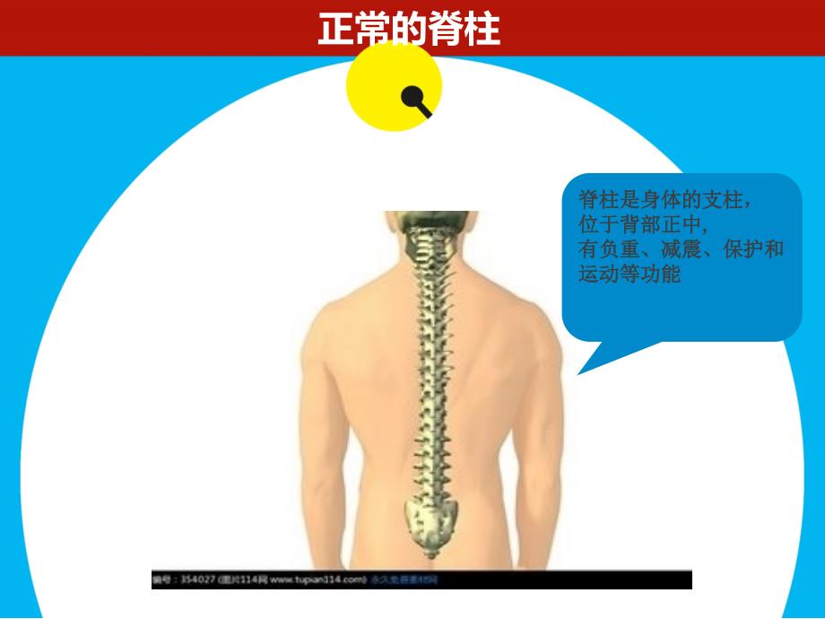 预防脊柱侧弯.ppt_第3页