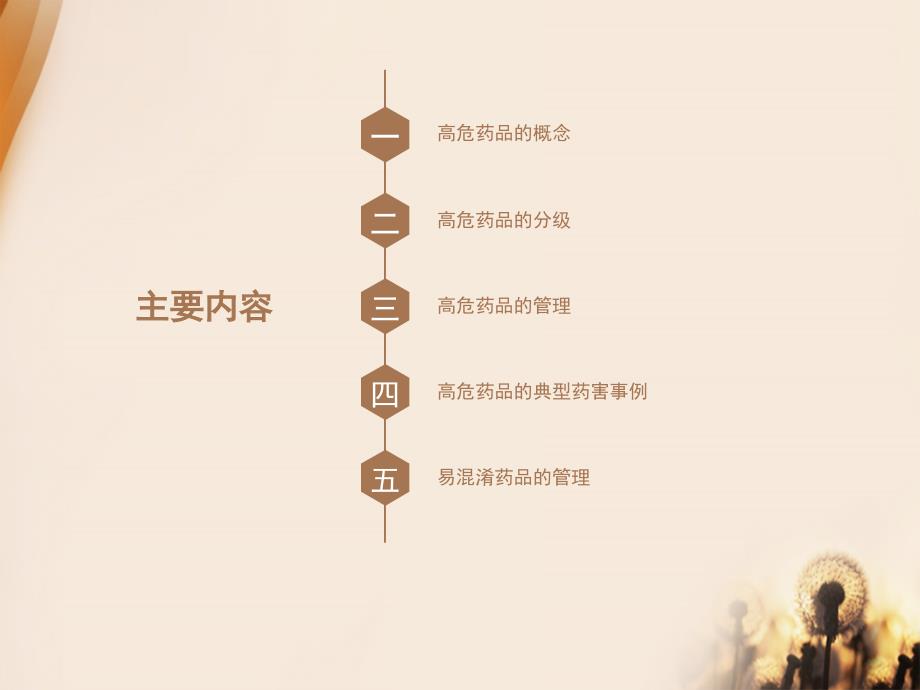 高危药品管理PPT课件.pptx_第2页
