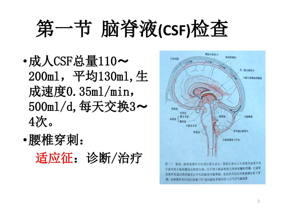 神经系统辅助检查PPT课件.ppt_第3页