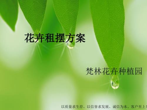 花卉租摆方案PPT课件.ppt