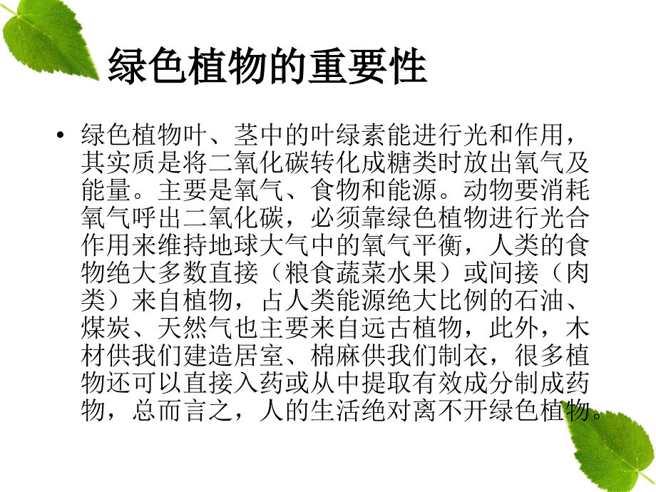 花卉租摆方案PPT课件.ppt_第2页