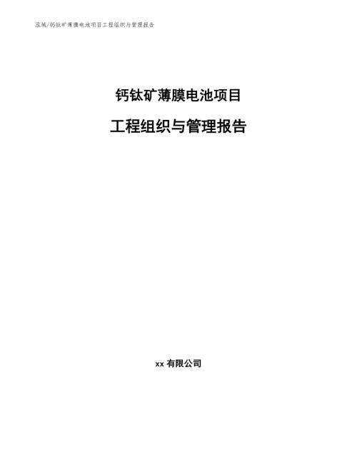 钙钛矿薄膜电池项目工程组织与管理报告.docx