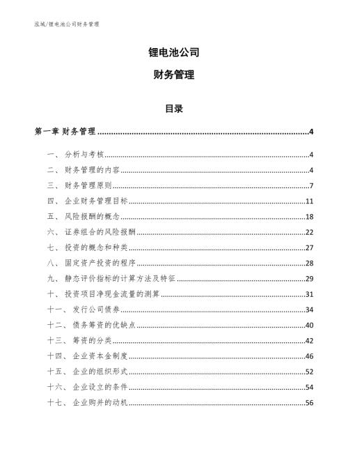 锂电池公司财务管理范文.docx