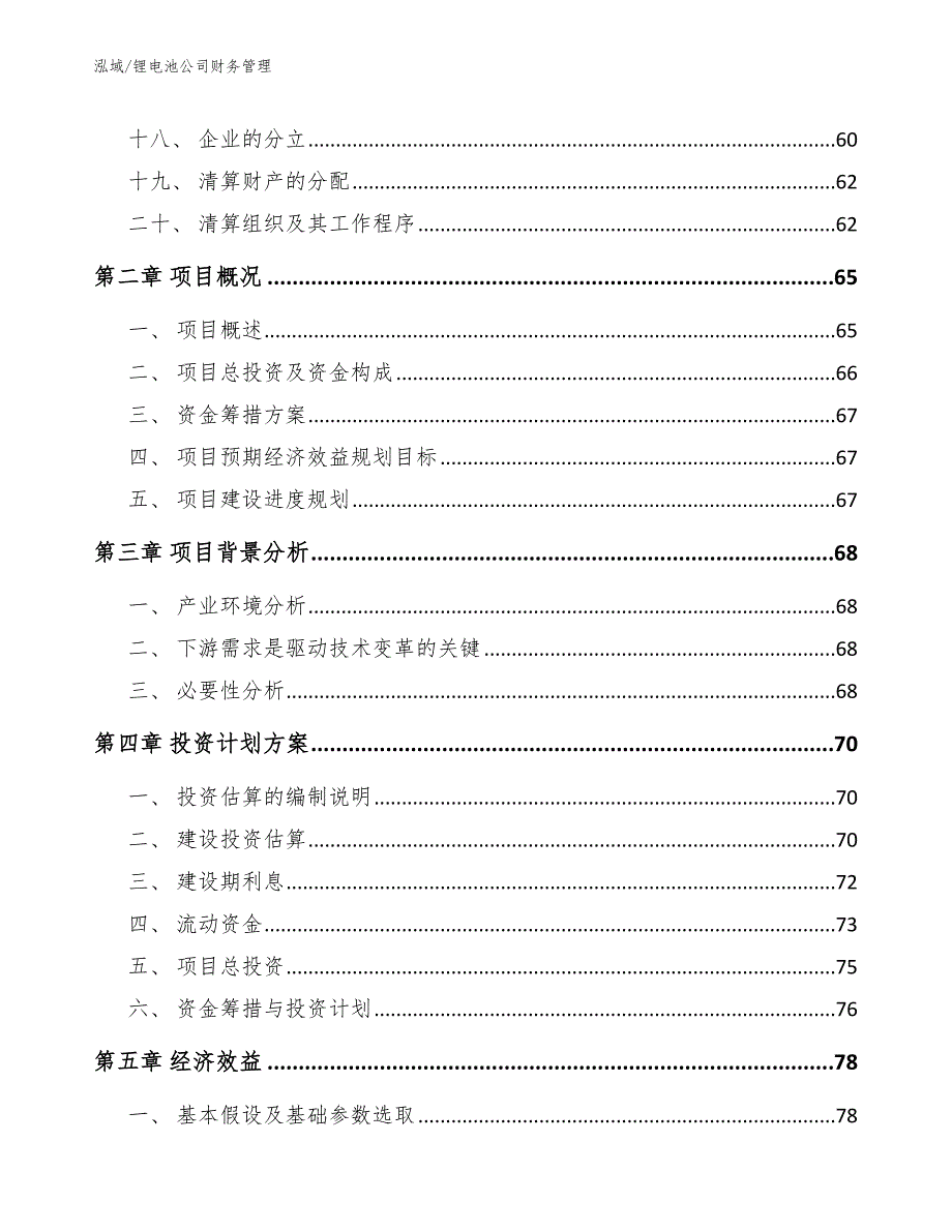 锂电池公司财务管理范文.docx_第2页