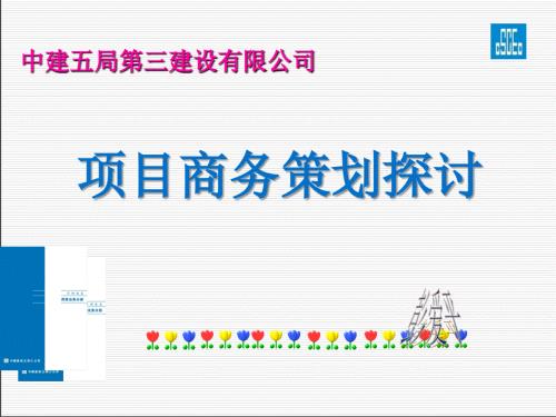 项目商务策划正稿PPT课件.ppt