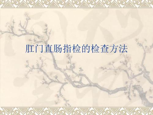 肛门直肠指检的检查方法课件.ppt