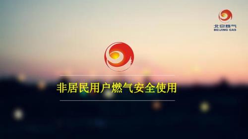 非居民用户燃气安全使用.ppt
