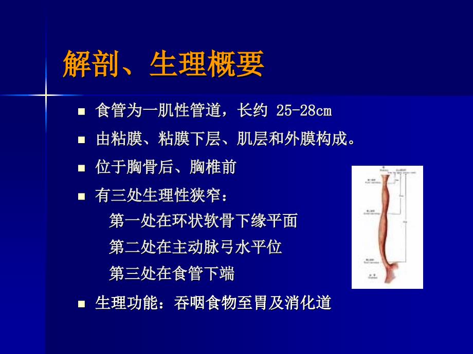 食管癌病人的护理PPT课件.ppt_第3页