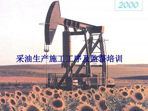 采油生产施工工序及监督培训.ppt
