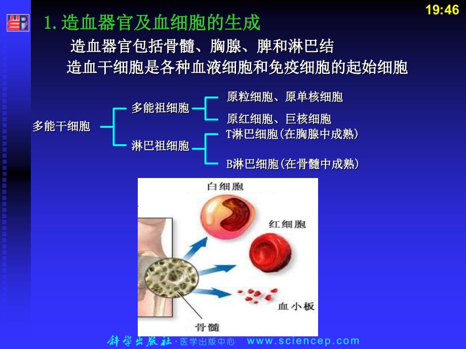 血液内科护理学.ppt_第3页