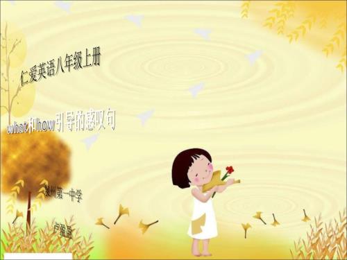 福建省初中英语微课一等奖what和how引导的感叹句.ppt