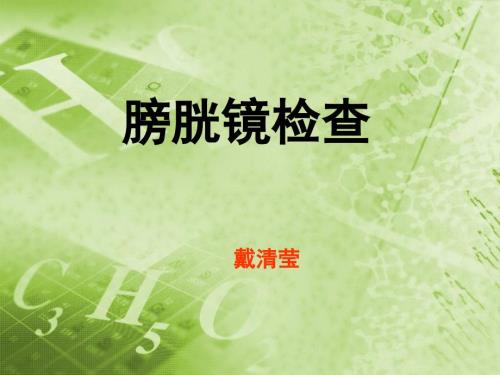 膀胱镜检查ppt课件.ppt