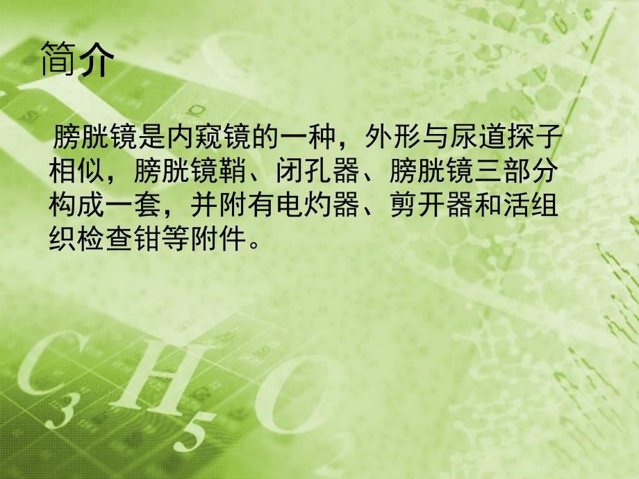 膀胱镜检查ppt课件.ppt_第3页